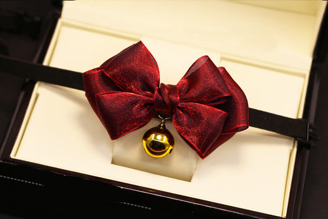Accessorio papillon