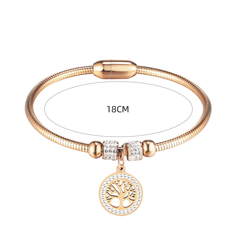 Bracciale titanio magnetico