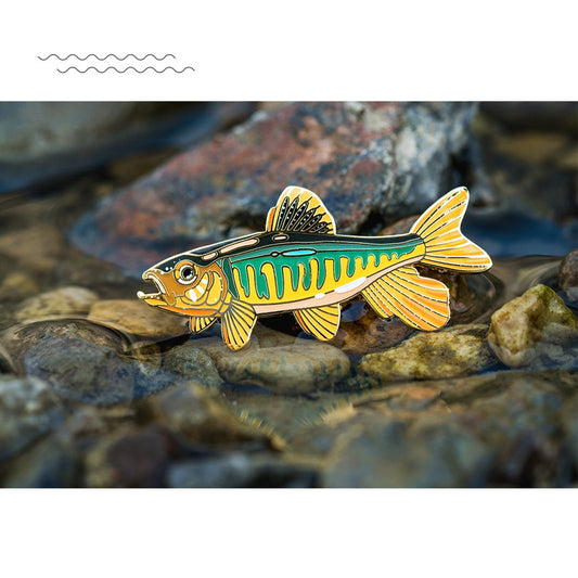 Spilla pesce