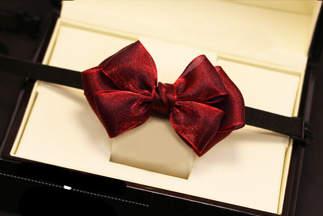 Accessorio papillon