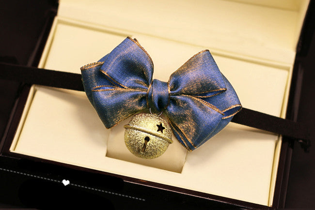 Accessorio papillon