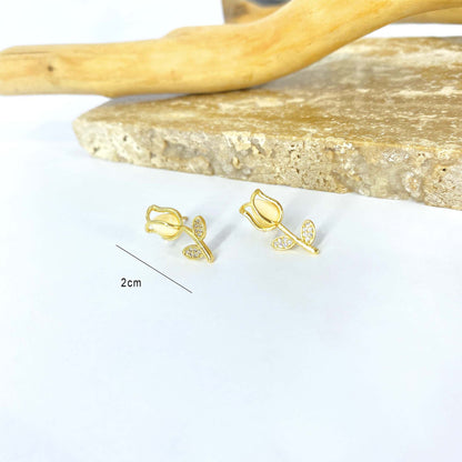 Set Tulipano