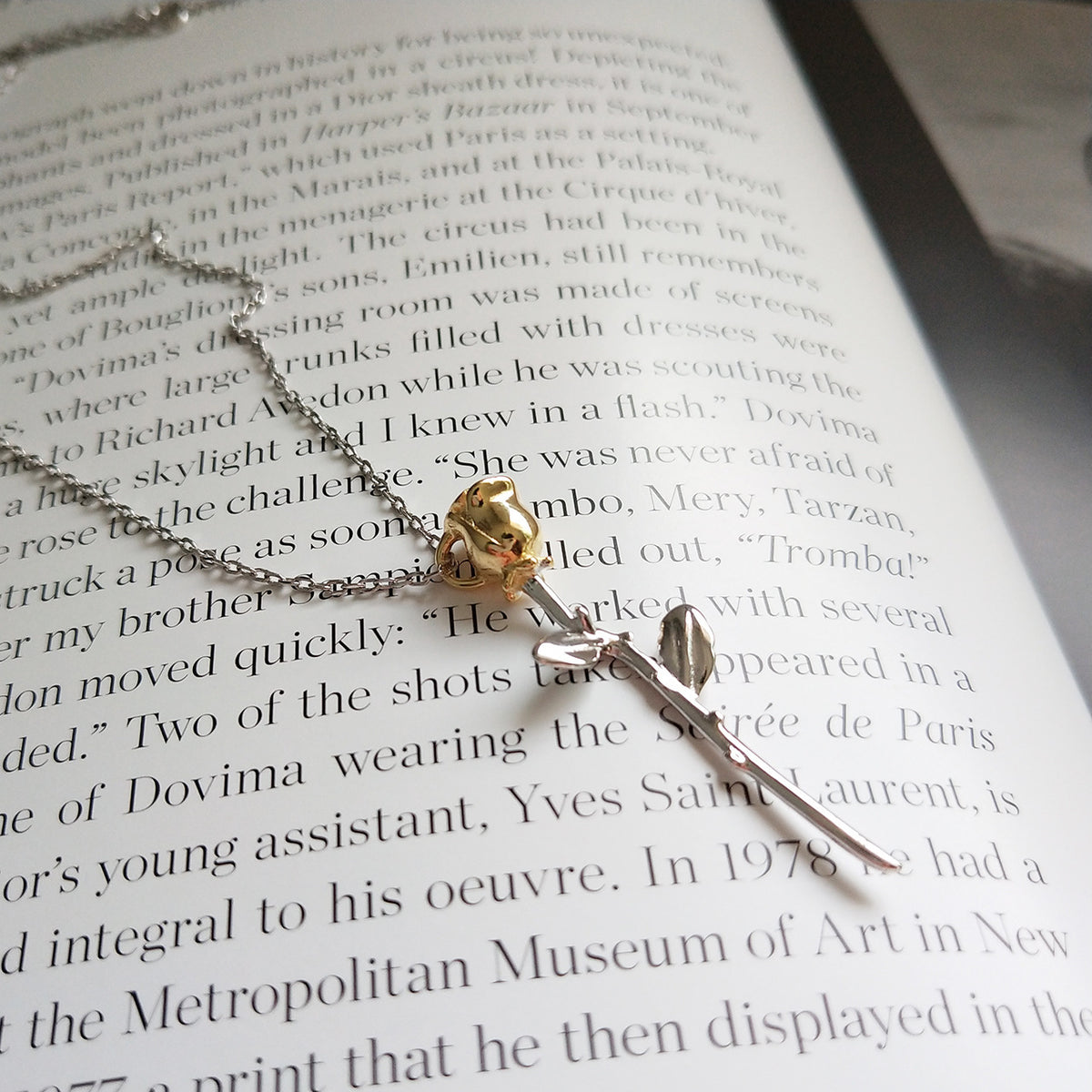 Collana argento piccolo principe