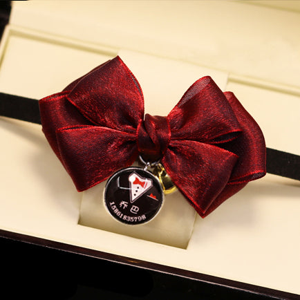 Accessorio papillon