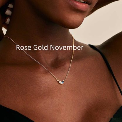 Collana cuore zircone acciaio titanio con pietra natale