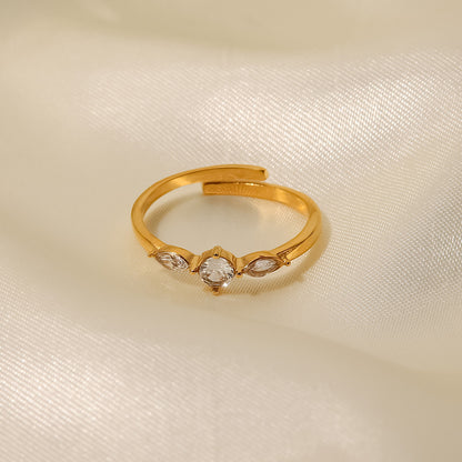 Anello acciaio titanio francese