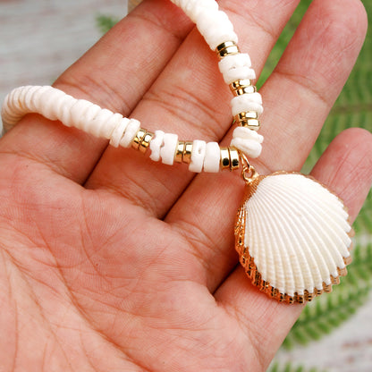 Collana conchiglia frammento