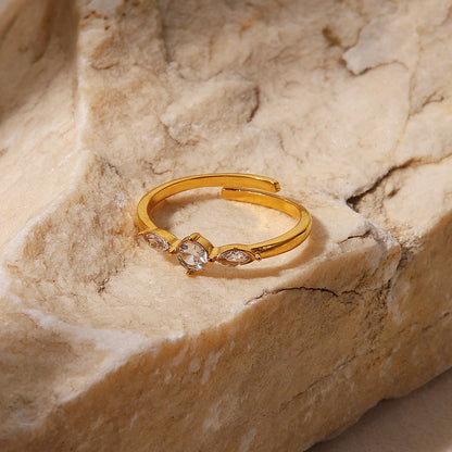 Anello acciaio titanio francese