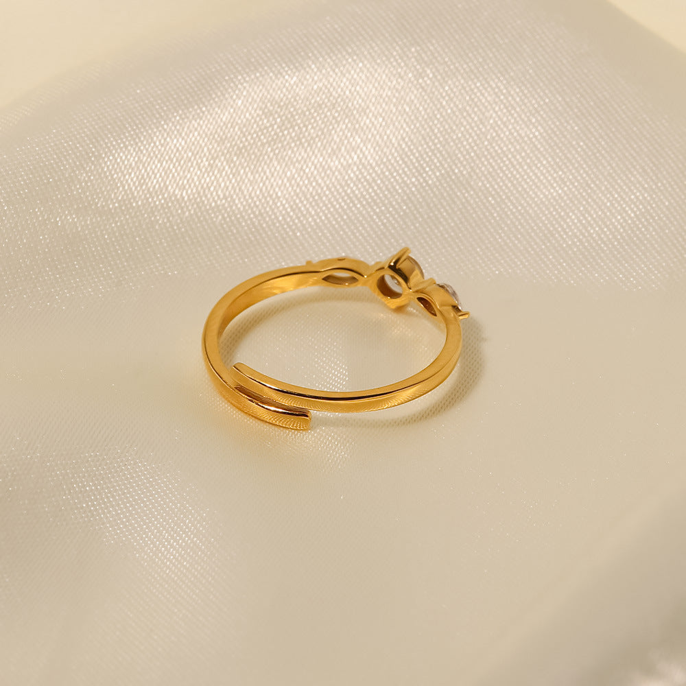 Anello acciaio titanio francese