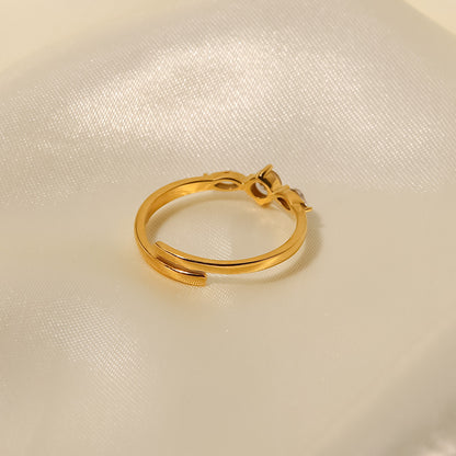 Anello acciaio titanio francese